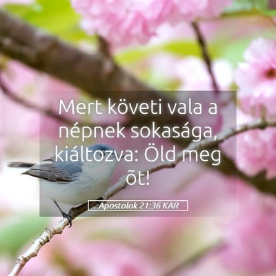 Picture 05 - Apostolok 21:36 KAR - Mert követi vala a népnek sokasága, - Bible Verse Picture