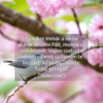 Picture 05 - Apostolok 21:37 KAR - És mikor immár a várba akarák bevinni Pált, - Bible Verse Picture