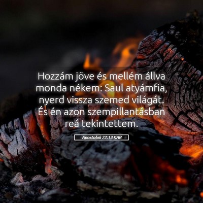Picture 05 - Apostolok 22:13 KAR - Hozzám jöve és mellém állva monda nékem: - Bible Verse Picture