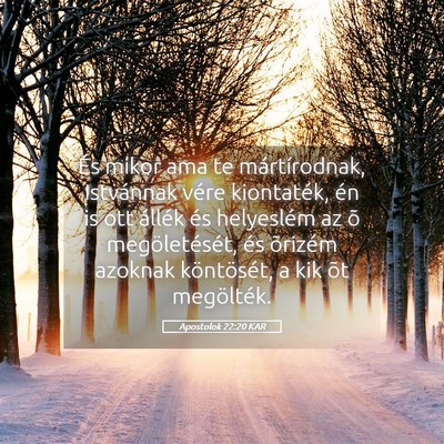 Picture 05 - Apostolok 22:20 KAR - És mikor ama te mártírodnak, Istvánnak vére - Bible Verse Picture