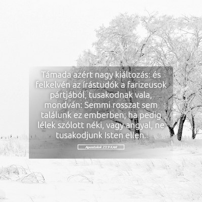 Picture 05 - Apostolok 23:9 KAR - Támada azért nagy kiáltozás: és felkelvén - Bible Verse Picture
