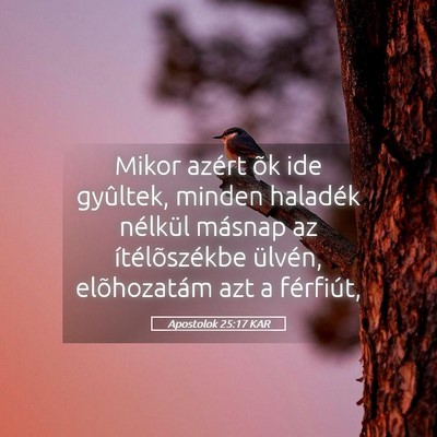 Picture 05 - Apostolok 25:17 KAR - Mikor azért õk ide gyûltek, minden haladék - Bible Verse Picture