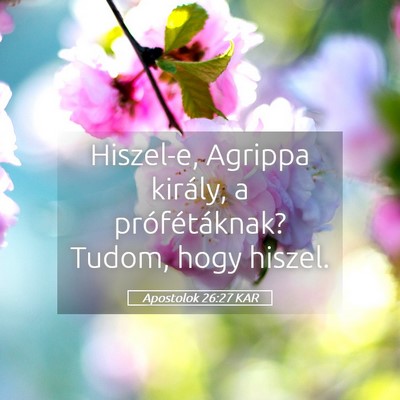 Picture 05 - Apostolok 26:27 KAR - Hiszel-e, Agrippa király, a prófétáknak? - Bible Verse Picture