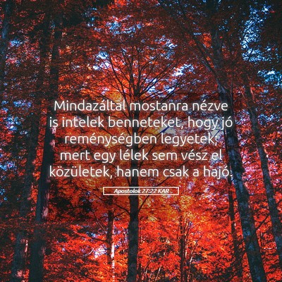 Picture 05 - Apostolok 27:22 KAR - Mindazáltal mostanra nézve is intelek - Bible Verse Picture