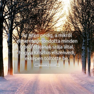 Picture 05 - Apostolok 3:18 KAR - Az Isten pedig, a mikrõl eleve megmondotta - Bible Verse Picture