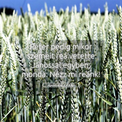 Picture 05 - Apostolok 3:4 KAR - Péter pedig mikor szemeit reá vetette Jánossal - Bible Verse Picture