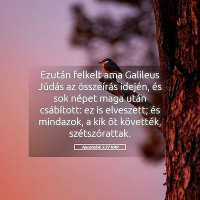 Picture 05 - Apostolok 5:37 KAR - Ezután felkelt ama Galileus Júdás az - Bible Verse Picture