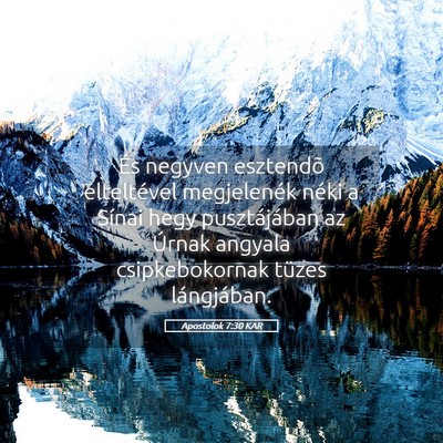 Picture 05 - Apostolok 7:30 KAR - És negyven esztendõ elteltével megjelenék - Bible Verse Picture