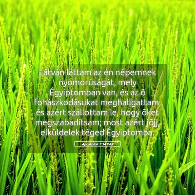 Picture 05 - Apostolok 7:34 KAR - Látván láttam az én népemnek - Bible Verse Picture