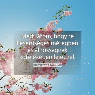 Picture 05 - Apostolok 8:23 KAR - Mert látom, hogy te keserûséges méregben és - Bible Verse Picture