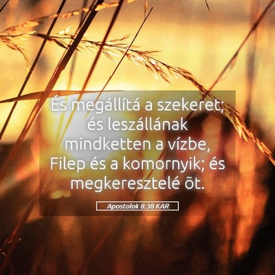 Picture 05 - Apostolok 8:38 KAR - És megállítá a szekeret; és leszállának - Bible Verse Picture