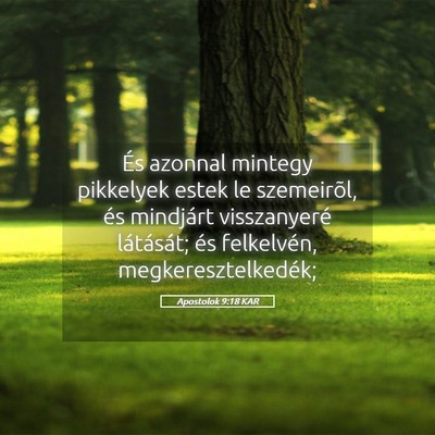 Picture 05 - Apostolok 9:18 KAR - És azonnal mintegy pikkelyek estek le - Bible Verse Picture