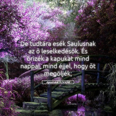 Picture 05 - Apostolok 9:24 KAR - De tudtára esék Saulusnak az õ leselkedésök. - Bible Verse Picture