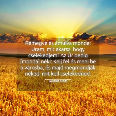 Picture 05 - Apostolok 9:6 KAR - Remegve és ámulva monda: Uram, mit akarsz, hogy - Bible Verse Picture