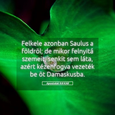 Picture 05 - Apostolok 9:8 KAR - Felkele azonban Saulus a földrõl; de mikor - Bible Verse Picture