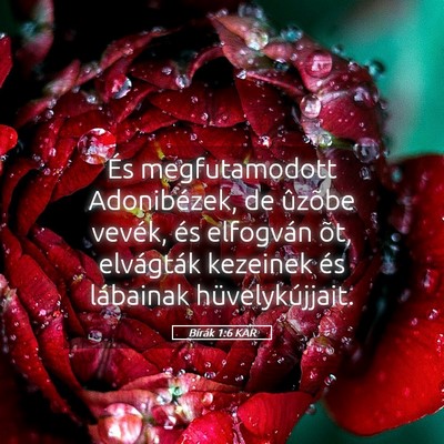 Picture 05 - Bírák 1:6 KAR - És megfutamodott Adonibézek, de ûzõbe vevék, - Bible Verse Picture