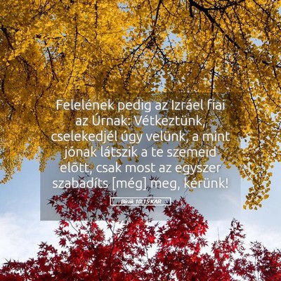 Picture 05 - Bírák 10:15 KAR - Felelének pedig az Izráel fiai az Úrnak: - Bible Verse Picture