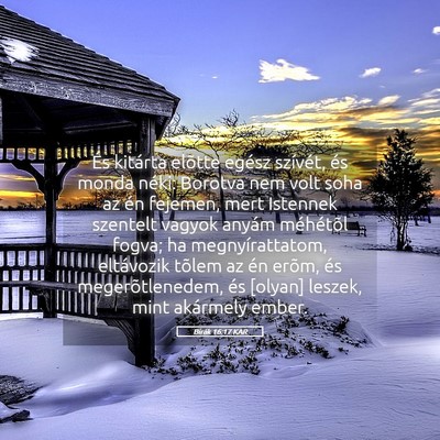 Picture 05 - Bírák 16:17 KAR - És kitárta elõtte egész szívét, és monda - Bible Verse Picture