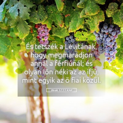 Picture 05 - Bírák 17:11 KAR - És tetszék a Lévitának, hogy megmaradjon - Bible Verse Picture