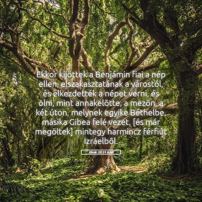 Picture 05 - Bírák 20:31 KAR - Ekkor kijöttek a Benjámin fiai a nép ellen, - Bible Verse Picture