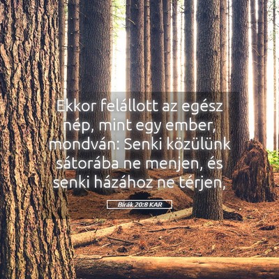 Picture 05 - Bírák 20:8 KAR - Ekkor felállott az egész nép, mint egy ember, - Bible Verse Picture