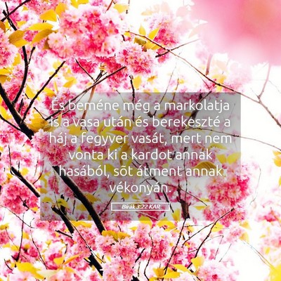 Picture 05 - Bírák 3:22 KAR - És beméne még a markolatja is a vasa után és - Bible Verse Picture