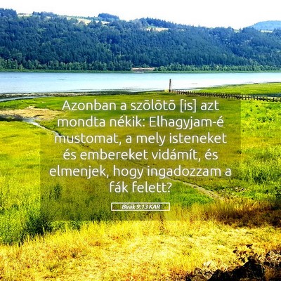 Picture 05 - Bírák 9:13 KAR - Azonban a szõlõtõ [is] azt mondta nékik: - Bible Verse Picture