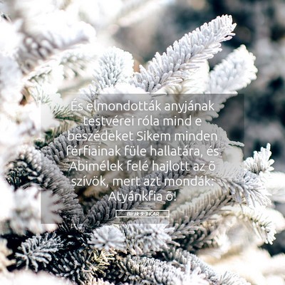 Picture 05 - Bírák 9:3 KAR - És elmondották anyjának testvérei róla mind - Bible Verse Picture