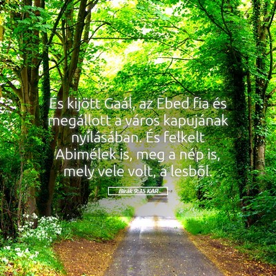 Picture 05 - Bírák 9:35 KAR - És kijött Gaál, az Ebed fia és megállott a - Bible Verse Picture