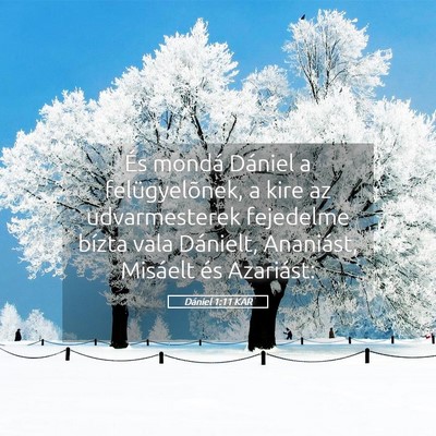Picture 05 - Dániel 1:11 KAR - És mondá Dániel a felügyelõnek, a kire az - Bible Verse Picture