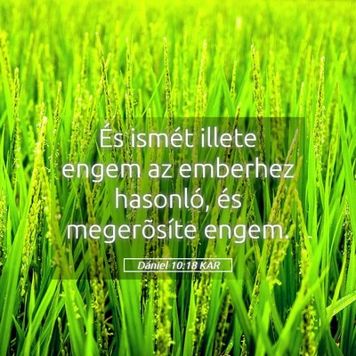Picture 05 - Dániel 10:18 KAR - És ismét illete engem az emberhez hasonló, és - Bible Verse Picture