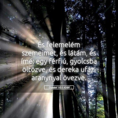 Picture 05 - Dániel 10:5 KAR - És felemelém szemeimet, és látám, és ímé: - Bible Verse Picture