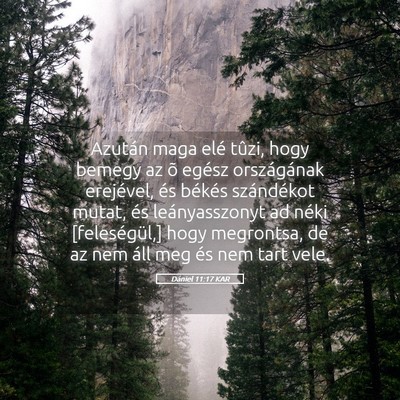 Picture 05 - Dániel 11:17 KAR - Azután maga elé tûzi, hogy bemegy az õ egész - Bible Verse Picture