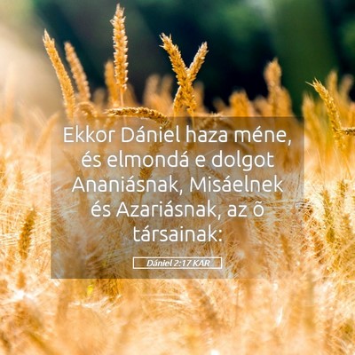 Picture 05 - Dániel 2:17 KAR - Ekkor Dániel haza méne, és elmondá e dolgot - Bible Verse Picture