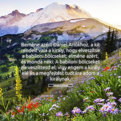 Picture 05 - Dániel 2:24 KAR - Beméne azért Dániel Ariókhoz, a kit rendelt - Bible Verse Picture