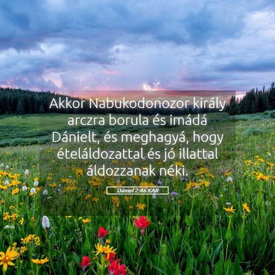 Picture 05 - Dániel 2:46 KAR - Akkor Nabukodonozor király arczra borula és - Bible Verse Picture