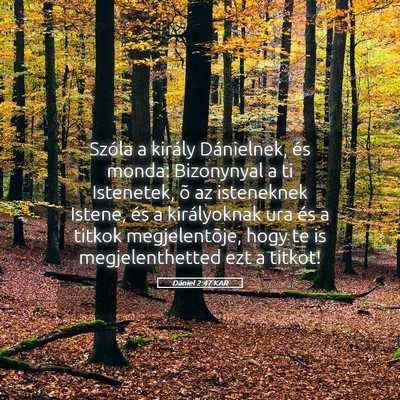 Picture 05 - Dániel 2:47 KAR - Szóla a király Dánielnek, és monda: - Bible Verse Picture