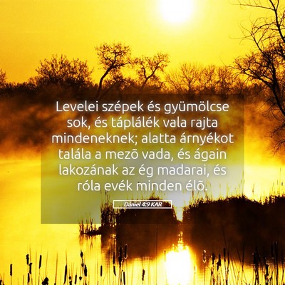 Picture 05 - Dániel 4:9 KAR - Levelei szépek és gyümölcse sok, és - Bible Verse Picture