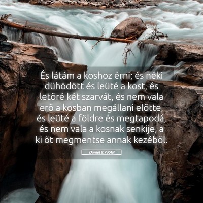 Picture 05 - Dániel 8:7 KAR - És látám a koshoz érni; és néki dühödött - Bible Verse Picture