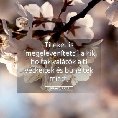 Picture 05 - Efézus 2:1 KAR - Titeket is [megelevenített,] a kik holtak - Bible Verse Picture