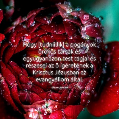 Picture 05 - Efézus 3:6 KAR - Hogy [tudniillik] a pogányok örökös társak - Bible Verse Picture