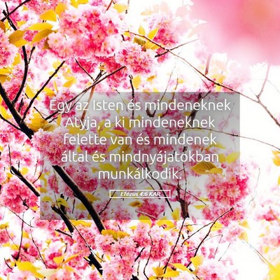 Picture 05 - Efézus 4:6 KAR - Egy az Isten és mindeneknek Atyja, a ki - Bible Verse Picture
