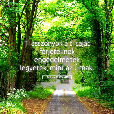 Picture 05 - Efézus 5:22 KAR - Ti asszonyok a ti saját férjeteknek - Bible Verse Picture
