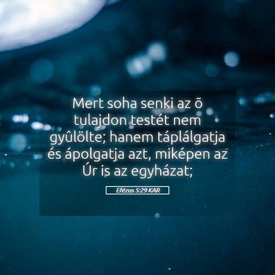 Picture 05 - Efézus 5:29 KAR - Mert soha senki az õ tulajdon testét nem - Bible Verse Picture