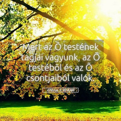 Picture 05 - Efézus 5:30 KAR - Mert az Õ testének tagjai vagyunk, az Õ - Bible Verse Picture