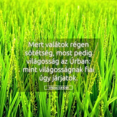 Picture 05 - Efézus 5:8 KAR - Mert valátok régen sötétség, most pedig - Bible Verse Picture