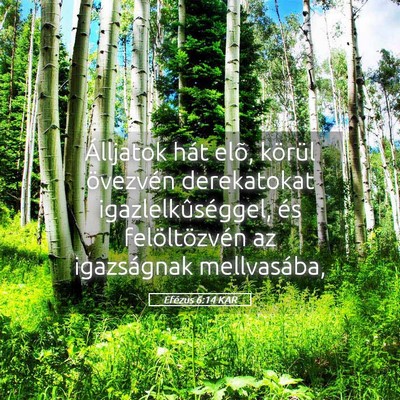 Picture 05 - Efézus 6:14 KAR - Álljatok hát elõ, körül övezvén - Bible Verse Picture
