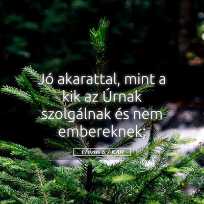 Picture 05 - Efézus 6:7 KAR - Jó akarattal, mint a kik az Úrnak szolgálnak - Bible Verse Picture