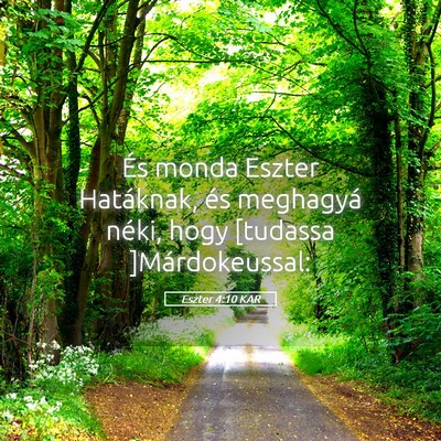 Picture 05 - Eszter 4:10 KAR - És monda Eszter Hatáknak, és meghagyá néki, - Bible Verse Picture