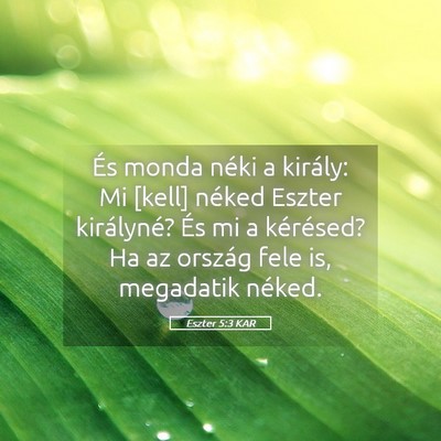 Picture 05 - Eszter 5:3 KAR - És monda néki a király: Mi [kell] néked - Bible Verse Picture